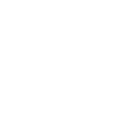 SS logo no text 1x1 white.png